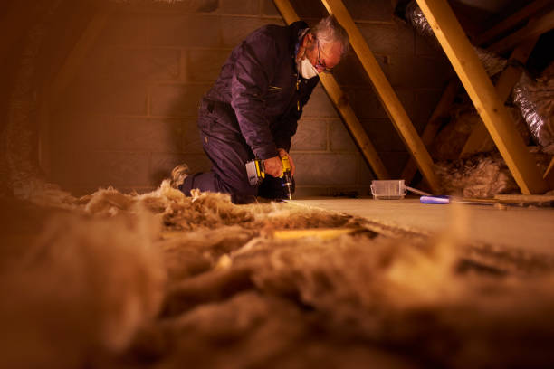 Best Types of Insulation in Washington, GA